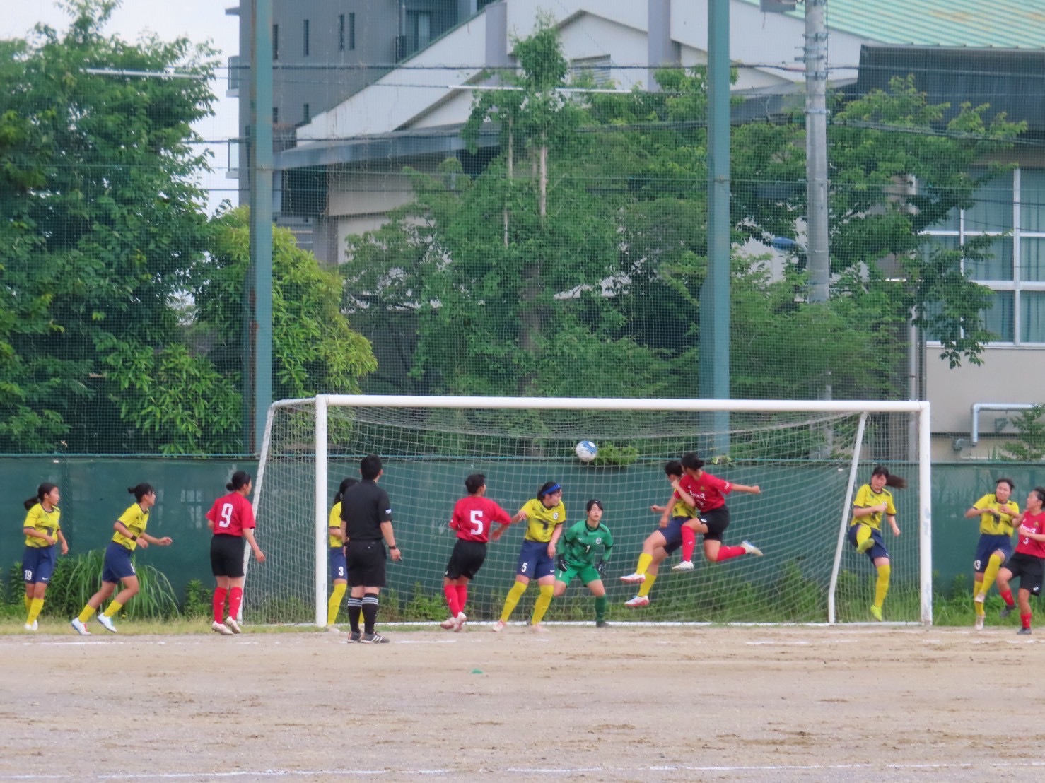 すぎそう (9).JPG